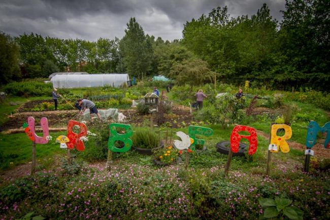 crowdfunding patch allotment photograph colour