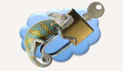 Image of a Chameleon on a padlock with a key on a cloud in colour