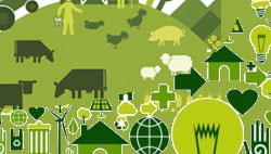 DE-Network+ collage image colour