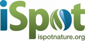 iSpot Nature Logo